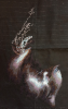 EA0C4CD7-857B-4B20-9AB9-8064E2BD78F6.thumb.png.20deb5a1901384d2484b1f0d42ec1c6a.png