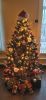 IMG-20221209-WA0000.thumb.jpg.cd482a6a80b7383b578e72489e03d5a7.jpg