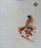 IMG_20220506_095242.thumb.jpg.c9f8c085609f9d430e5b89cfedde2afb.jpg