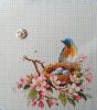 IMG_20220512_084150.thumb.jpg.262a0b2d876bcb0b06b6c6dd80de5775.jpg