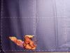 IMG_20220622_204004.thumb.jpg.05db92c28a8b2b0ffb12f278d8a5dad2.jpg