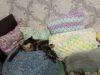 IMG_20221121_132855.thumb.jpg.b0dadb92af2d818bff64286a63100929.jpg
