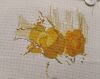 IMG_20221121_174442.thumb.jpg.679dbd1ca7df29fe5e79421d8a6582c7.jpg