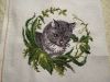 IMG_20221122_183942.thumb.jpg.8dd64c9eaee92fd3f4b76e3f99f96aaa.jpg