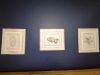 IMG_20221127_101443.thumb.jpg.dc172a0b468f35b7447e37e14432ae7e.jpg