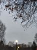 IMG_20221203_162157.thumb.jpg.d59513a1fed82c66f561dadc5dab4fdf.jpg