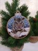 IMG_20221204_141932.thumb.jpg.d4213b61711dcf3cc147ed188b6116d4.jpg