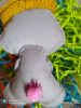 IMG_20221206_155710.thumb.jpg.d627700509dd81be6e2bf40403aa5beb.jpg