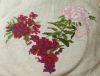 IMG_20221207_170324.thumb.jpg.ae4d0ea462dbe98a1baff97120de933d.jpg