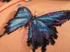 IMG_20221208_162911.jpg