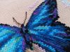 IMG_20221209_134022.jpg