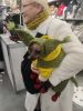 IMG_20221210_113046.thumb.jpg.0db49bd5f5c9b7613d49385bb73b40a7.jpg