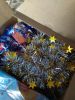 IMG_20221213_160254.thumb.jpg.c9b4bbc8b8daed667508aad8b6f57c80.jpg