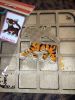 IMG_20221221_224233.thumb.jpg.843d42a68400a3f5b68101b471b6562e.jpg