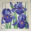 IMG_20221221_224357.thumb.jpg.662f075cd5c0b43fadc059cd093ce36d.jpg?1671744172028