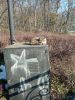 IMG_20221225_113542.thumb.jpg.d46bc96b8689990730b98e76442615a8.jpg