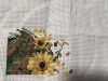 IMG_5271.JPG.cb26391cffd9cb03c4e4f1c2fc9086a1.thumb.jpeg.de6d39b3275ae91de2b0dc34f25e27e8.jpeg