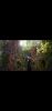 Screenshot_2022-12-07-02-01-59-356_com.vkontakte.android.thumb.jpg.6b0f15526d0069ed373b3618c4c9433b.jpg