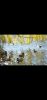 Screenshot_2022-12-07-02-02-54-287_com.vkontakte.android.thumb.jpg.44fce91e540de42c3879846225d42d9d.jpg