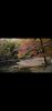 Screenshot_2022-12-07-02-05-25-394_com.vkontakte.android.thumb.jpg.8ee31c2e35bf76896f0956b5e82a08fd.jpg