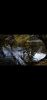 Screenshot_2022-12-07-02-05-36-443_com.vkontakte.android.thumb.jpg.86cd2de801955419b2baca75d26d189c.jpg