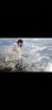 Screenshot_2022-12-07-02-16-55-416_com_miui.gallery.thumb.jpg.202c9ae9d89dceaa77cfda40441573a7.jpg