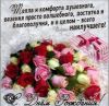 Screenshot_2022-12-30-20-34-36-84_680d03679600f7af0b4c700c6b270fe7.jpg