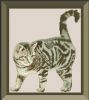 Screenshot_20221221_204506_com.maxxt.crossstitch-01.jpeg