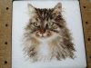 048.thumb.jpg.c21592a3ec274352cd6d26c0bc16e729.jpg