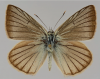 0774F83C-B78C-48BA-8181-7842CE84A27F.png