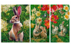 1623_Shema_dlya_vyshivki_biserom_Point_Art_Zaichiki-900x600.thumb.png.574b479a7b543c07007e28666cb86da5.png