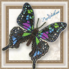 1710633070_.thumb.png.b546da054098862cd3d3bd2ef2241985.png
