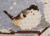 20220130_071235.thumb.jpg.2f9692c39a20d7e5aed644b3e057a6df.jpg