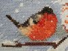 20220130_091135.thumb.jpg.10b9cf63d32f735c6f8ebc26b331f145.jpg