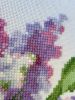 20220731_120351.thumb.jpg.86c9033b2748355b395d6bee4c66ce6f.jpg