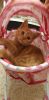 20221001_204319.thumb.jpg.a93bd9b7cef31332029e8942c4acb32d.jpg
