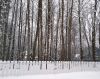 20221230_115447.thumb.jpg.e0452f017f90c8bdc9a775e01153053c.jpg