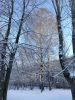 20230105_124613.thumb.jpg.a54bbc9a38feaa244efa47f3f64d9540.jpg