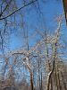 20230105_125528.thumb.jpg.c577faa8e7d21ad012ea868c99e8fe13.jpg