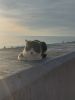 20230119_161740.thumb.jpg.c46938dd78f11ed95989fa78531f32b0.jpg
