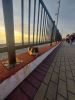 20230119_165337.thumb.jpg.9d1df2a585488466bdffe5558ac1b31e.jpg