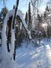 20230120_122942.thumb.jpg.c28d9f720bdfbfe0e2a26189f217fa55.jpg