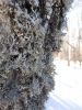 20230120_132828.thumb.jpg.2f71cf904b400d49309f0151b1af6e0a.jpg