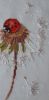 20230129_155215.thumb.jpg.42fc7b6c8597fb3a6f14b0aead6d8d65.jpg