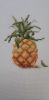 20230129_155953.thumb.jpg.e9413b02c2b469a8231841ad720ad32e.jpg