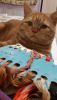 20230130_111152.thumb.jpg.6bd25b501a8b9a93afb6562bcdb215e1.jpg