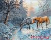 Dimensions 35294, Frosty Morning