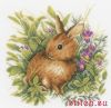 32639.thumb.jpg.225db2eb4fd06bf04f0f232af5fff6e0.jpg