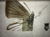 3D70AEA5-17AF-4AE7-8D6B-F015BF26092E.jpeg
