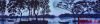 46395DA2-769F-4E14-8AB9-7AA8F2655B00.thumb.jpeg.00ed4712809b5d103b15def8cbe55539.jpeg